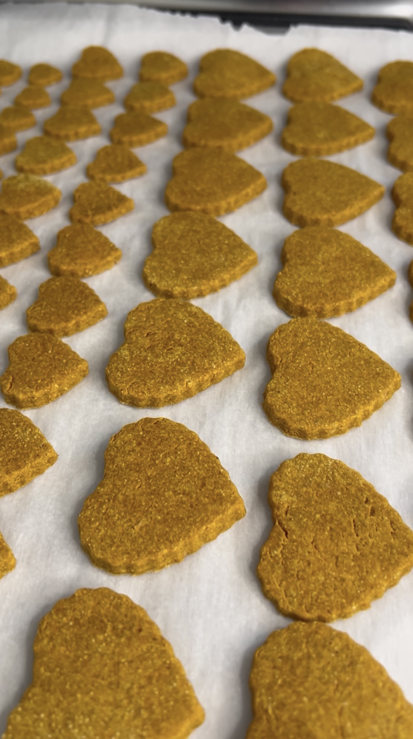 Homemade Dog Treat Recipes